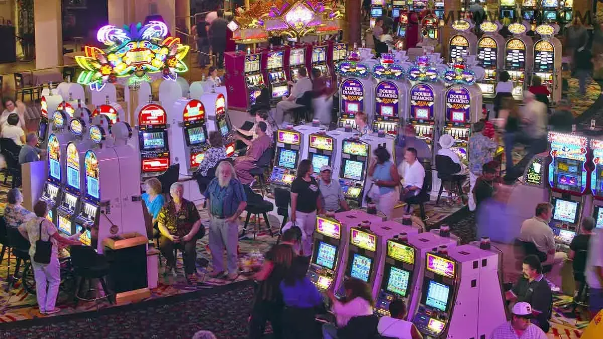 The Dog House Slot